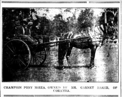 CHAMPION PONY MIRZA, OWNED BY MR. GARNET BAKER, OF CORAMBA. (1929, April 19). Coffs Harbour Advocate (NSW : 1907 - 1942; 1946 - 1954), p.1. http://nla.gov.au/nla.news-article185717388