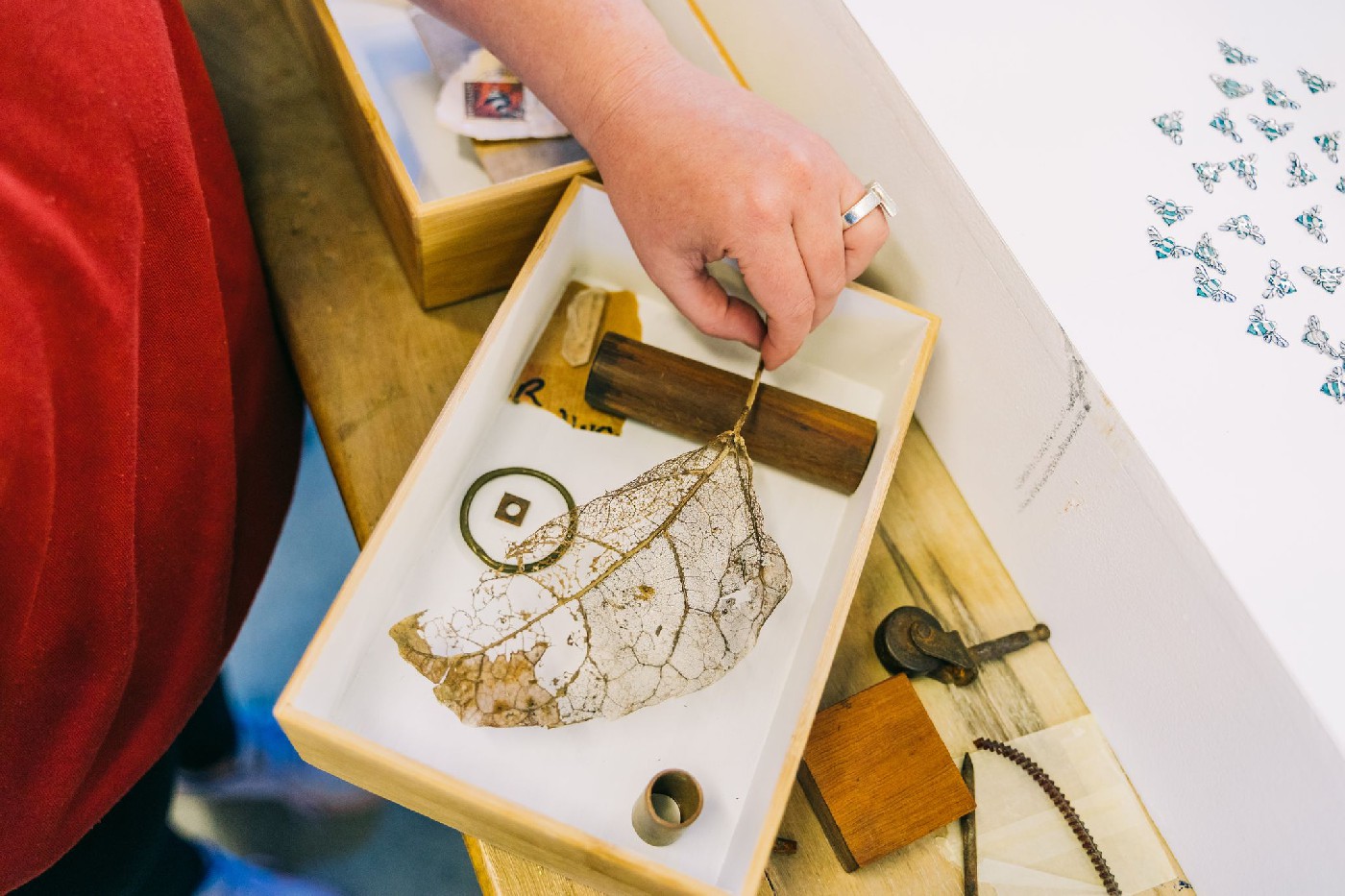 Jasmine Winter. Photograph by and the trees photographyJasmine Winter. Photograph by and the trees photography