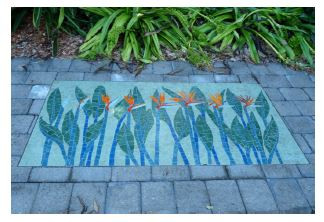 Strelitzia regnans mosaic, North Coast Regional Botanic Gardens