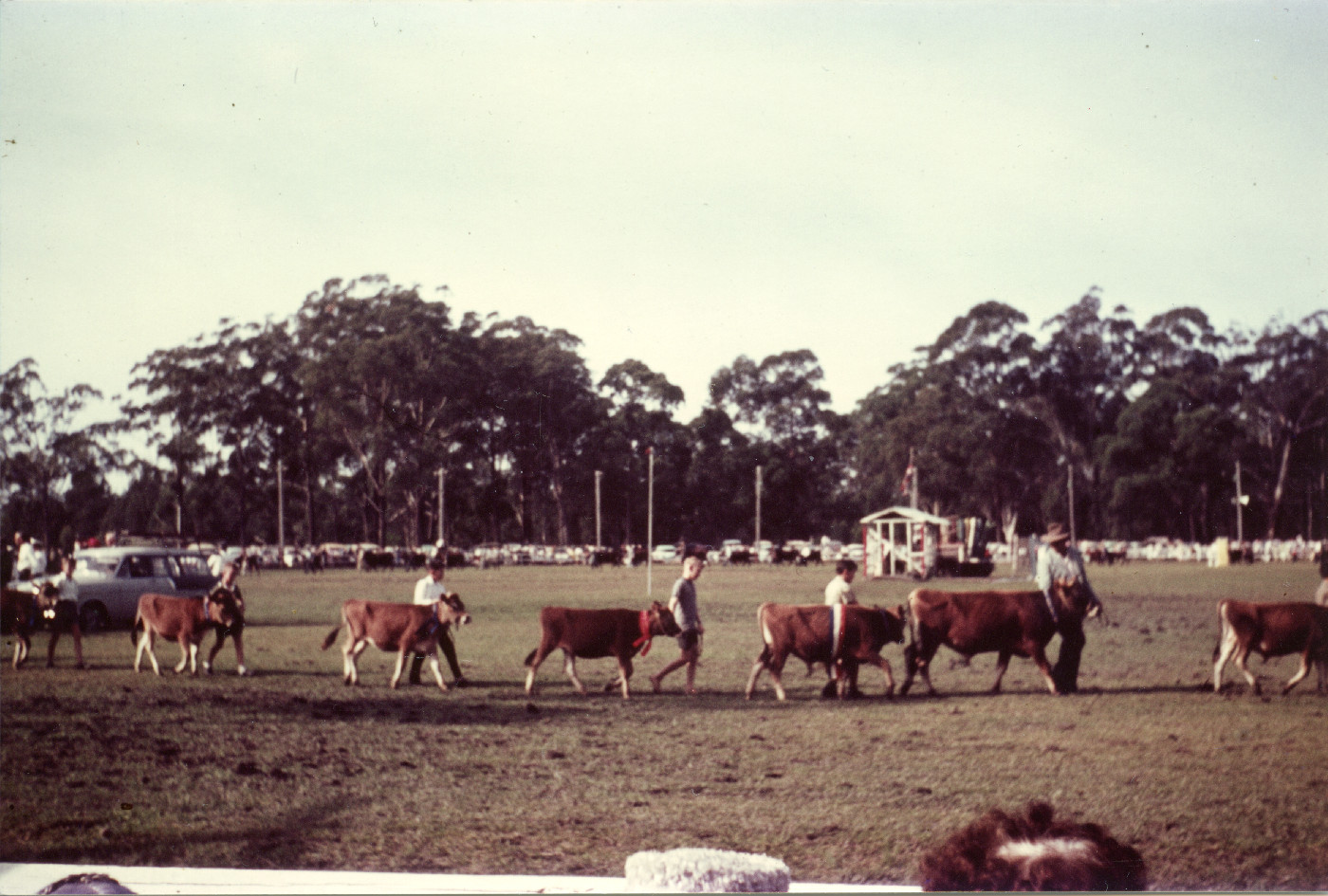 Coffs Harbour Show Society