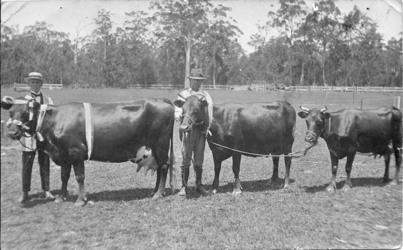 Coffs Harbour Showground